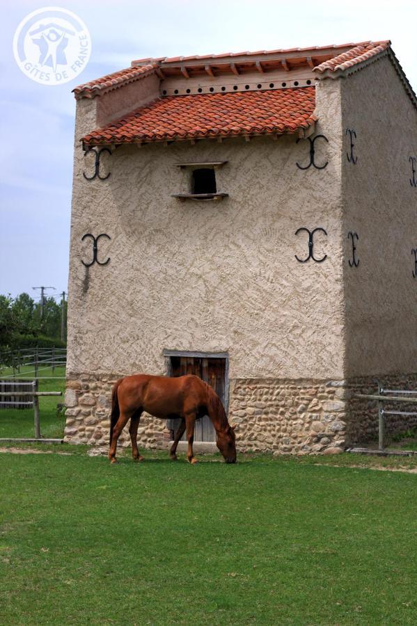 Chambres D'Hotes Ondine Et Igor Saint-Marcellin-en-Forez 外观 照片